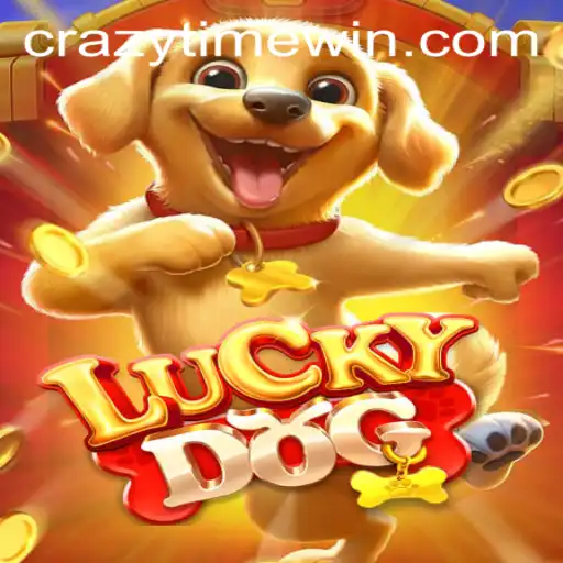 Discover the Thrill of LuckyDog: Experience CrazyTime