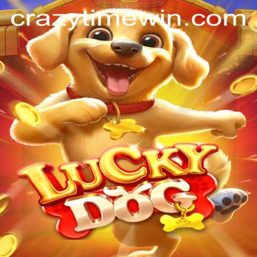Discover the Thrill of LuckyDog: Experience CrazyTime